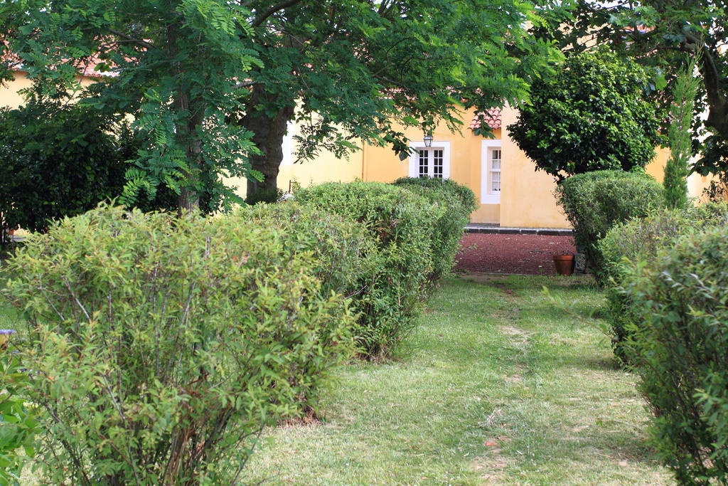 Villa Quinta Do Carmo à Feteiras Extérieur photo